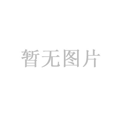 成立時間_2004_年